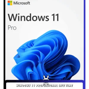 Home 9 Windows 11 Professional LifeTime ActivationKey